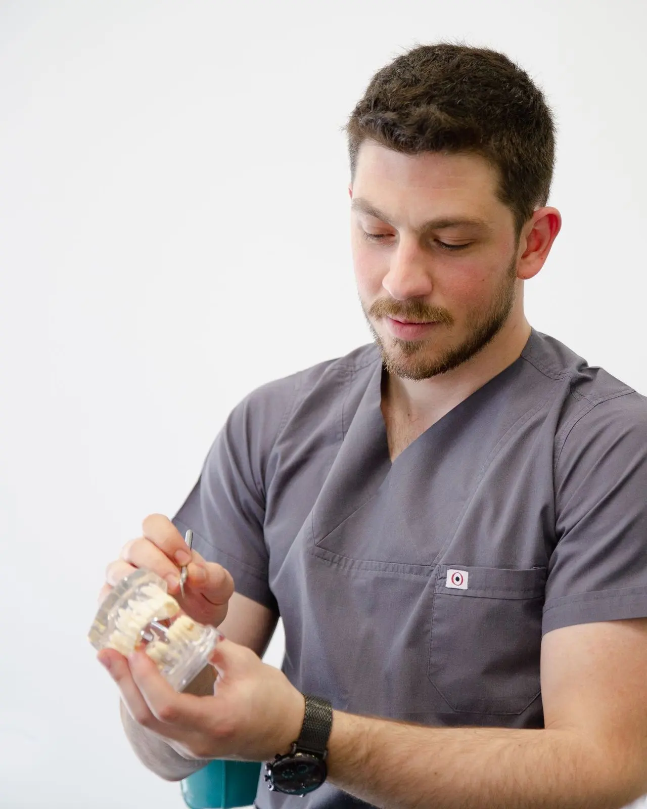A bearded dentist in grey scrubs holding a model of teeth
